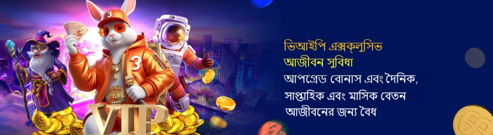 The Intriguing World of 66zz Exploring Trends and Innovations