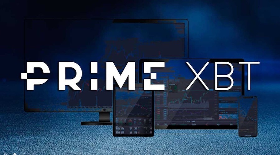 Unlocking Potential with PrimeXBT Analysis Tools