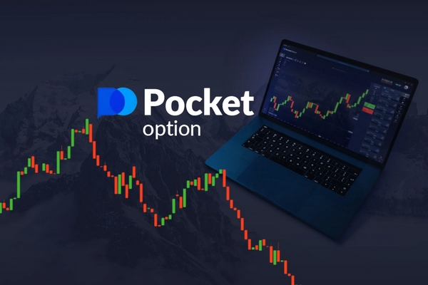 Everything You Need to Know About Pocket Option App Android