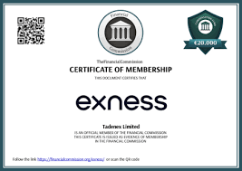 Unlocking the Potential of Exness Live Account Unlocking the Potential of Exness Live Account